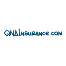 QNAInsurance.com - Premium Domain Name