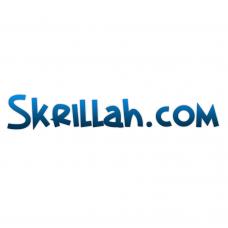 Skrillah.com, .net, .org - Premium Domain Name Set