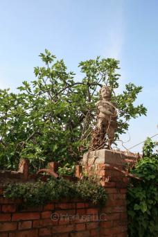 Venice, Italy Statue Covered in Vine on Brick Wall - Photo Poster Print