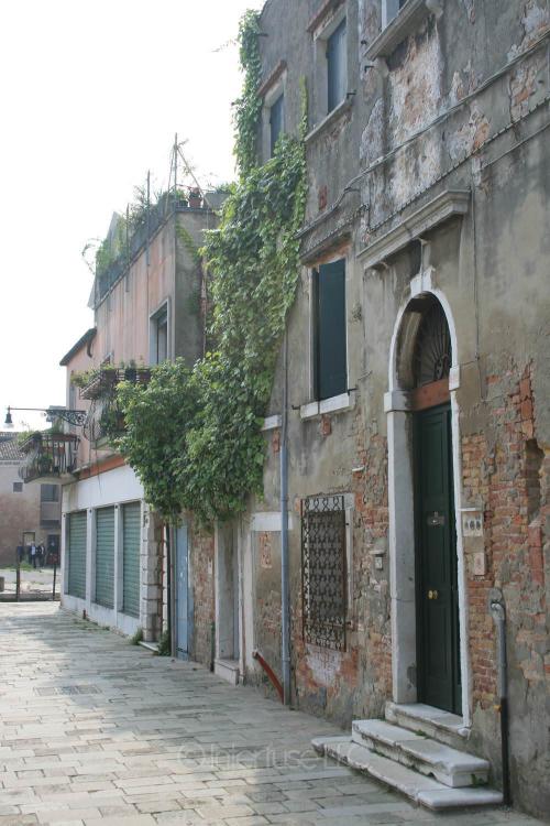 Venice, Italy Doorway of Building with Vine - Photo Poster Print